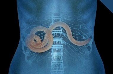 Parasiten im menschlichen Körper