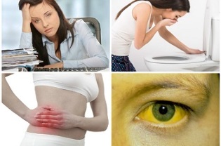 Anzeichen und Symptome des Vorhandenseins von Parasiten in der menschlichen Leber