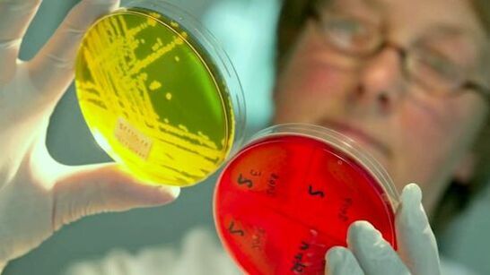 Untersuchung von Tests zum Nachweis von Parasiten im menschlichen Körper